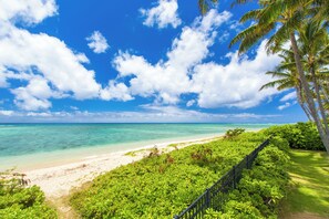 Ein Strand mit klarem türkisblauem Wasser, weißem Sand und üppiger Vegetation.