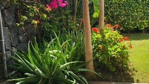 Um jardim com diversas plantas, um muro de pedra e um edifício moderno ao fundo.