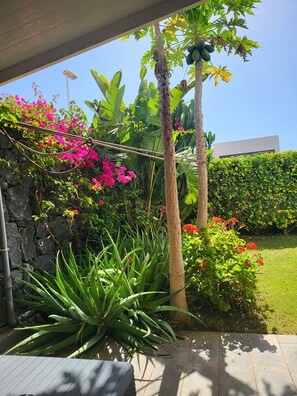 A garden with various plants, a stone wall, and a modern building in the background. - Villa Petit Paradis - A little bit of heaven (Callao Salvaje)