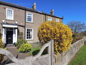 A two-story house with a front door, windows, and a garden with yellow flowering bushes. - Annie's Place (Whitby)
