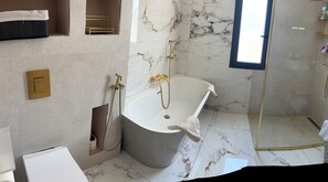 Shower, hair dryer, bidet, towels - New Villa Lunel (Lunel)
