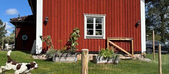 Cozy dog and child friendly cottage near bathing lake