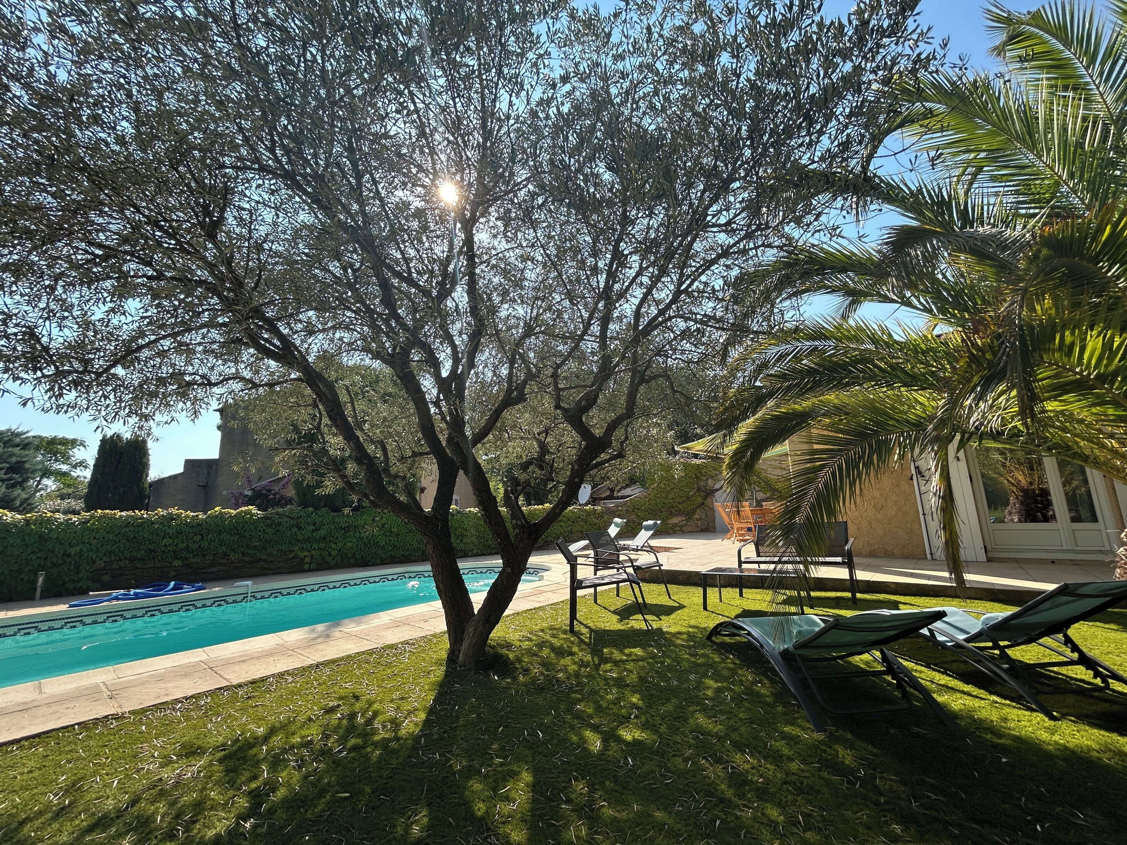 Un espace piscine avec des chaises longues et un arbre.