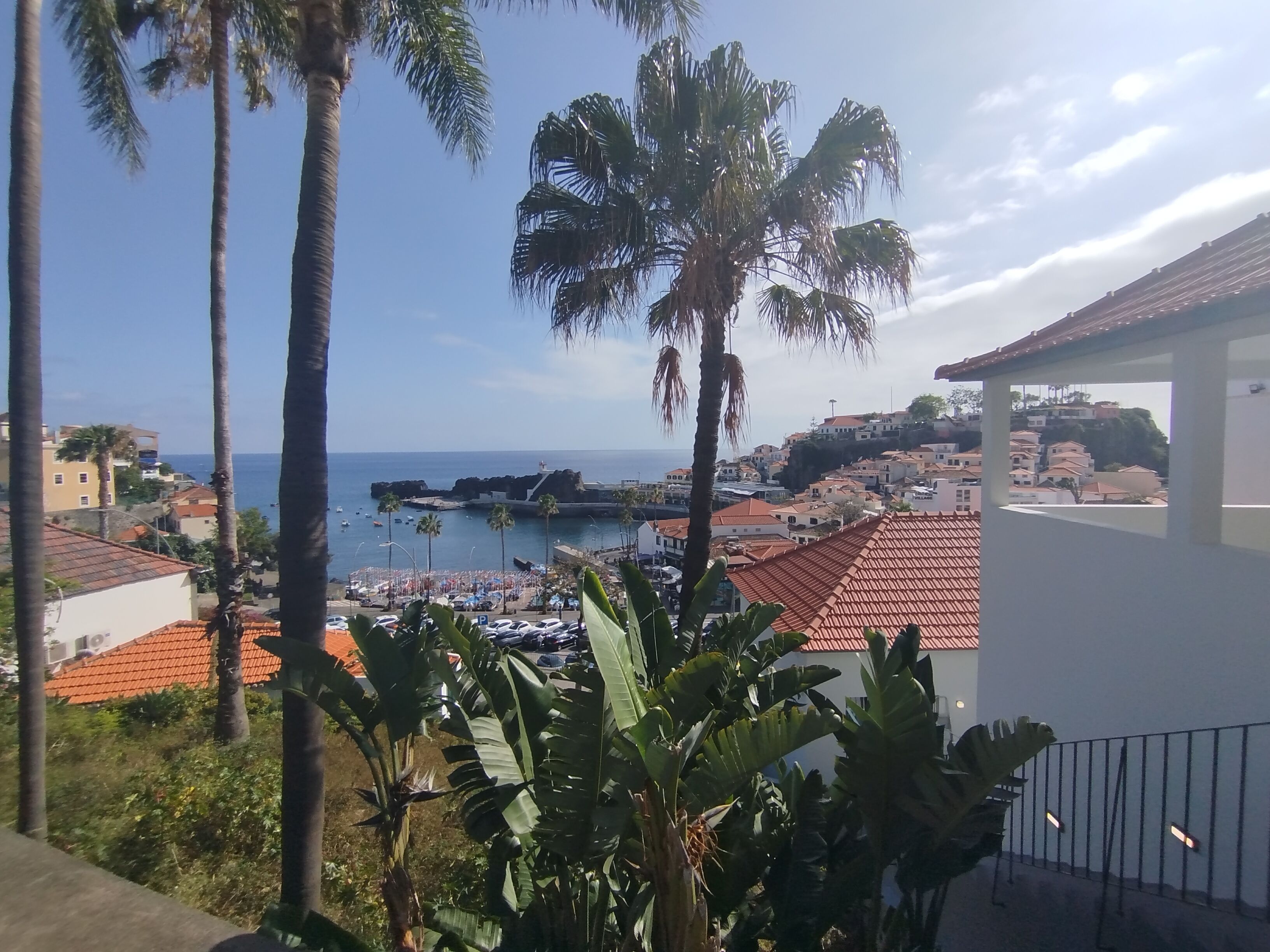A coastal town with palm trees, a beach, and buildings with red-tiled roofs.