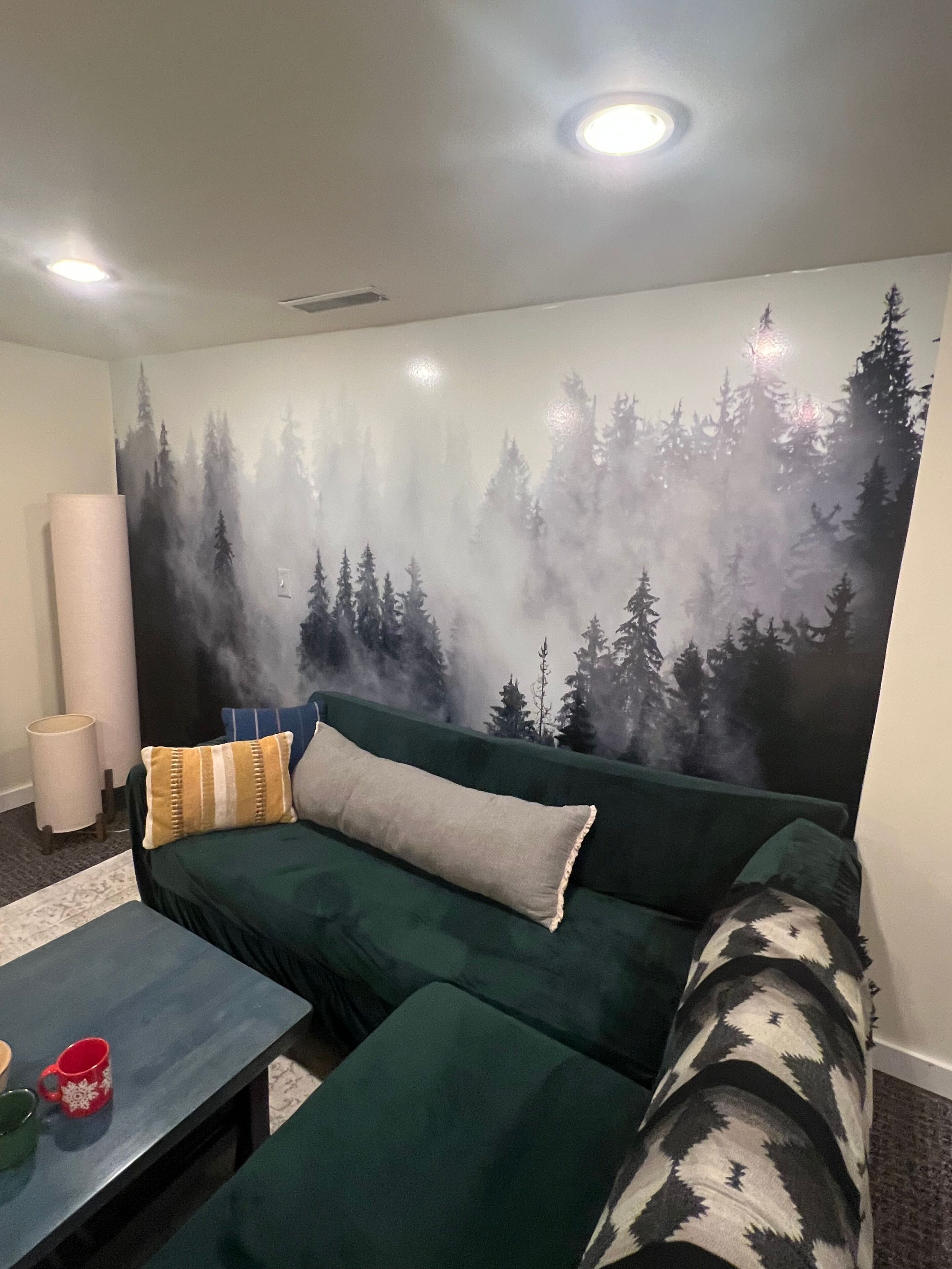TV