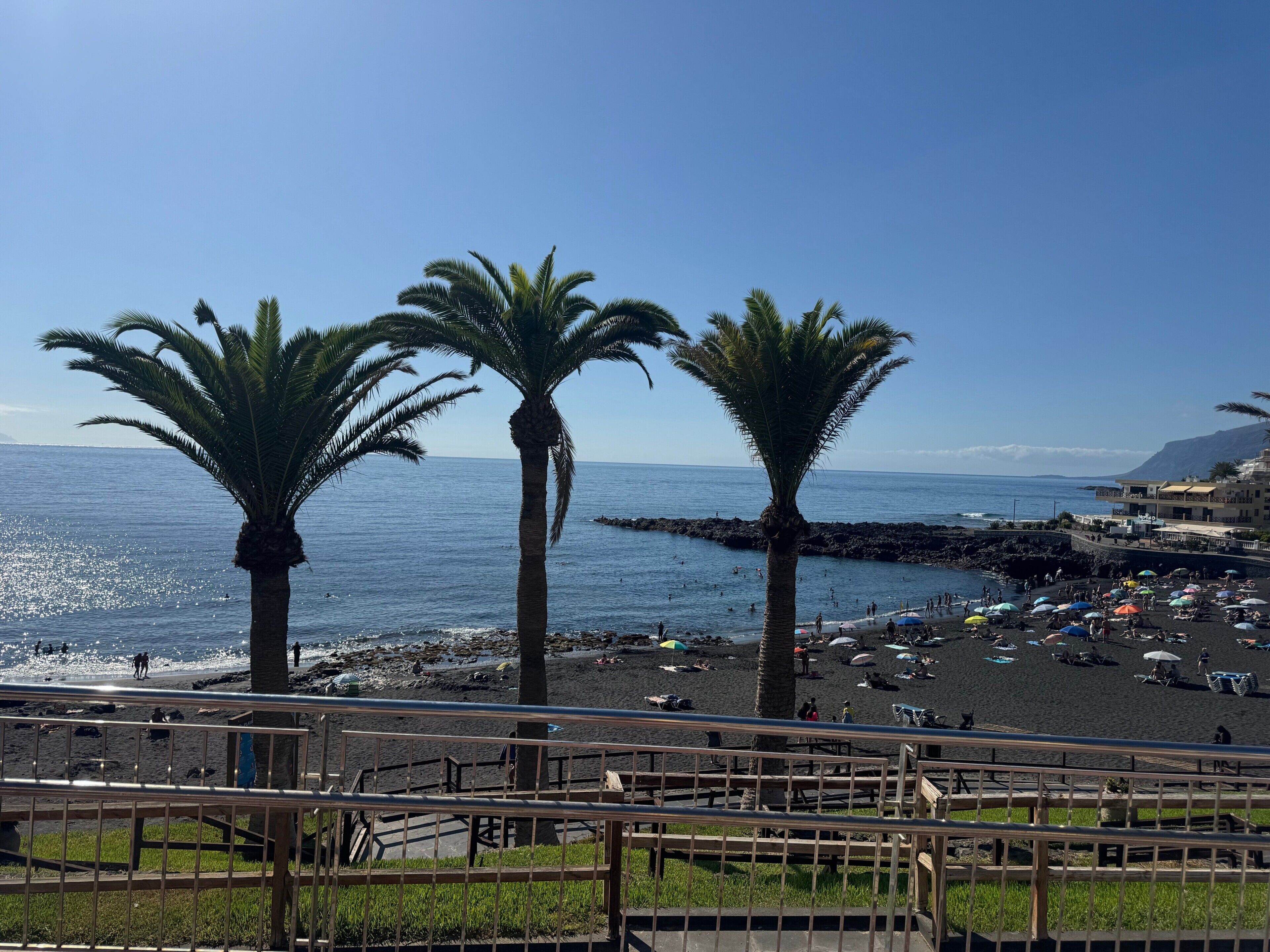 A beach with palm trees, a rocky shoreline, and a clear blue sky.