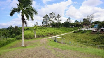 Imagen general