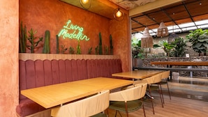 A restaurant interior with wooden tables, cushioned booths, hanging light fixtures, and a mural of cacti. - Poblado de Alejandr a - 1201 (Medellín)