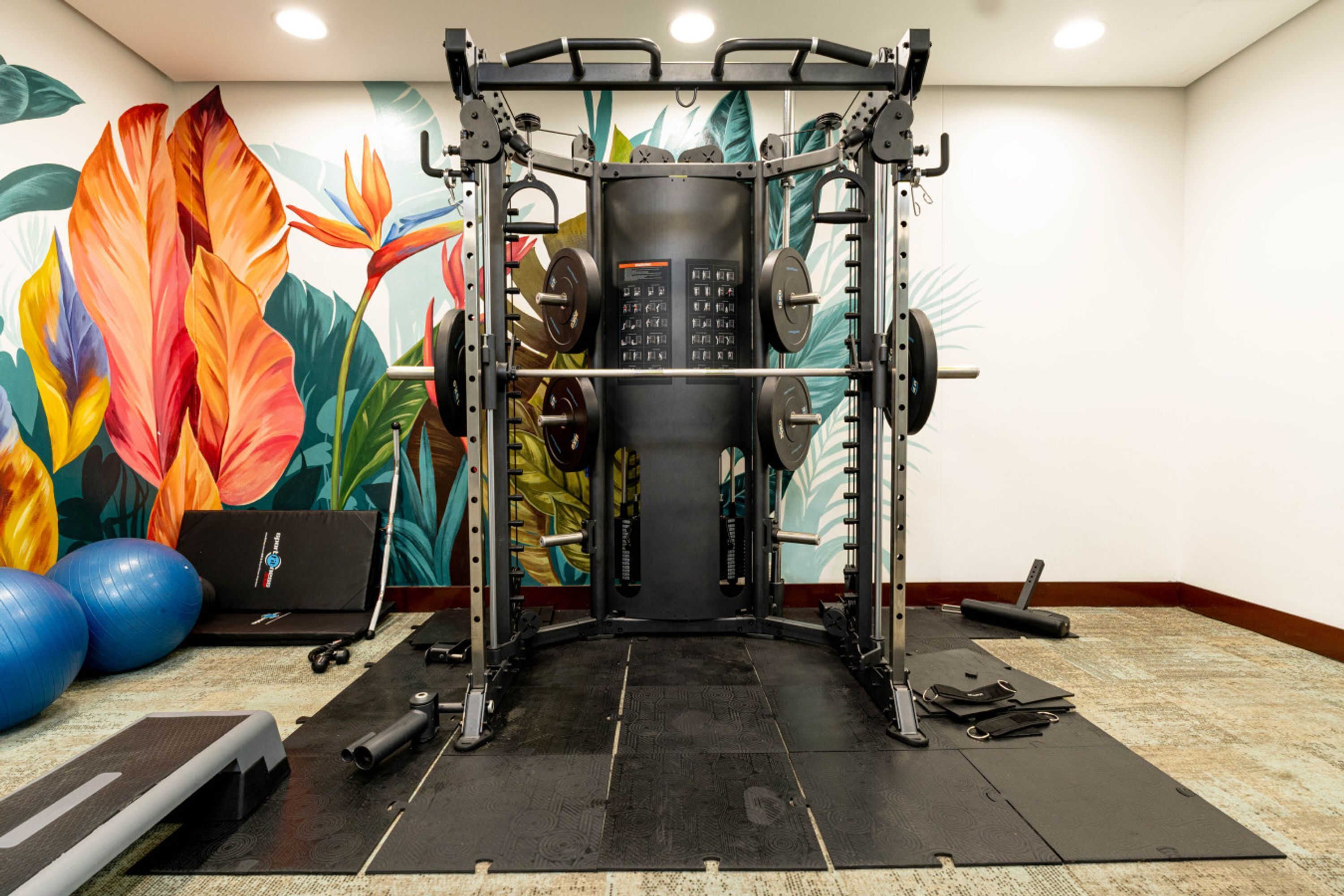 A gym with a weightlifting station, exercise balls, and a colorful mural.