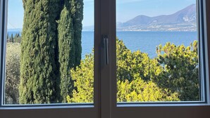 Janela com vista para árvores altas e um corpo d'água.