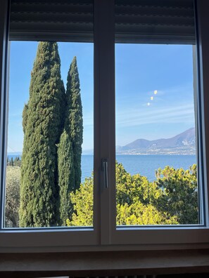 Ein Fenster mit Blick auf hohe Bäume und ein Gewässer.