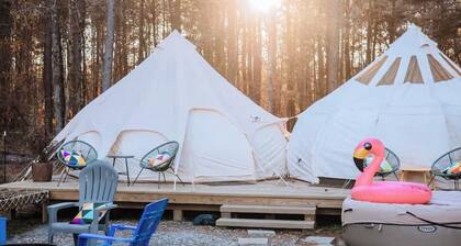 Kettles Corner Yurt with llamas, fluffy cows, and snuggly sheep
