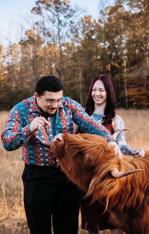 Miscellaneous - Kettles Corner Yurt with llamas, fluffy cows, and snuggly sheep (Thomson)