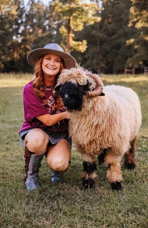 Miscellaneous - Kettles Corner Yurt with llamas, fluffy cows, and snuggly sheep (Thomson)