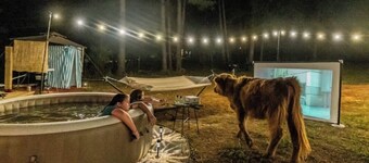 Kettles Corner Yurt with llamas, fluffy cows, and snuggly sheep