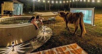 Kettles Corner Yurt with llamas, fluffy cows, and snuggly sheep