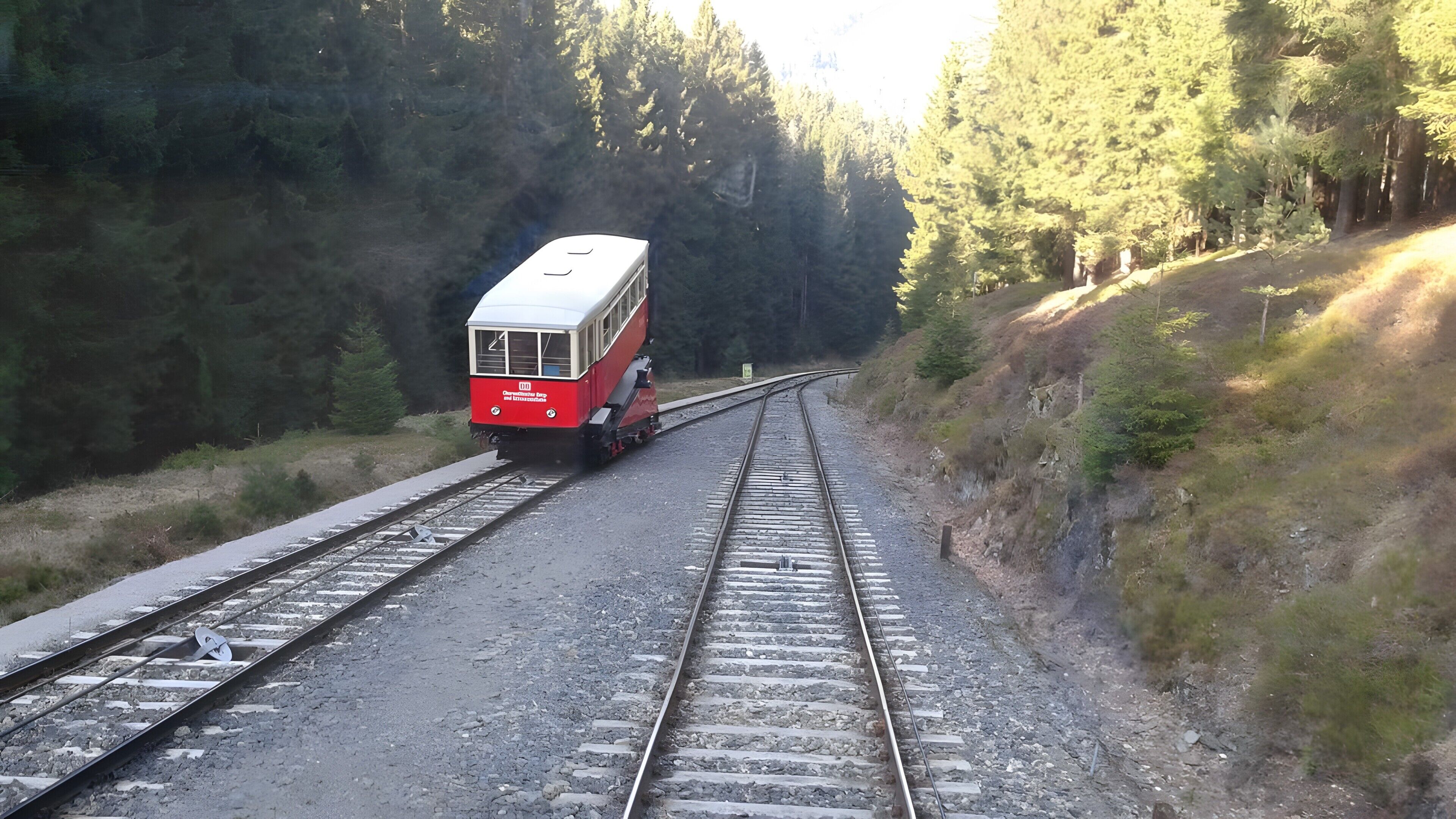 Un train circule sur une voie ferrée, entouré de forêt.