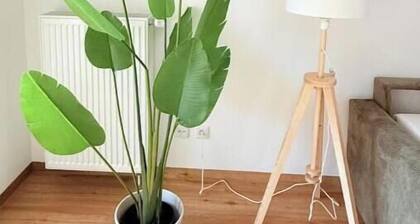 Moderne Wohlfühlwohnung mit Balkon & Parkplatz – Ruhig und zentral in Borken
