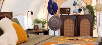 The Shaggy Cow Yurt, fluffy cows, shaggy sheep, and burros!