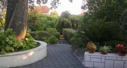 Apartmani Borić