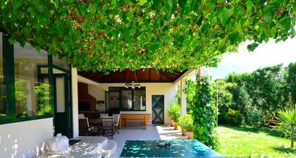 Villa Nature Retreat