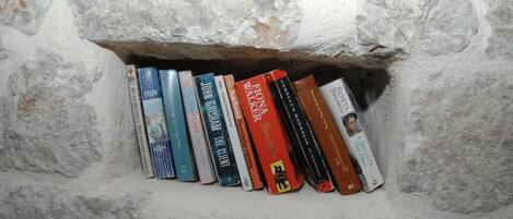 Una colección de libros organizados en un nicho de piedra.