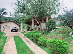 A residential area with a paved driveway leading to a house, surrounded by greenery and trees.