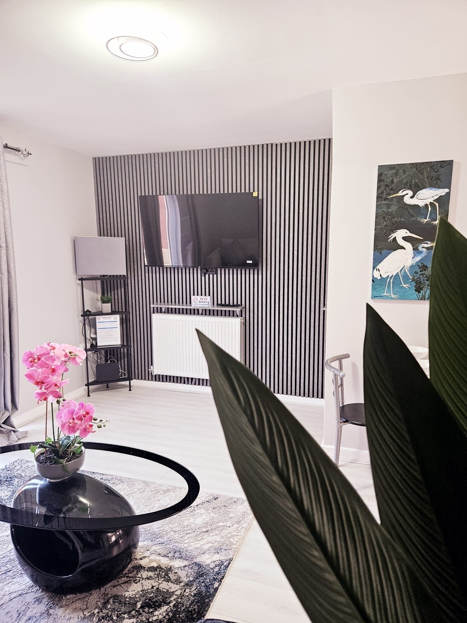 A modern living room with a flat-screen TV, a potted orchid, a coffee table, and a large plant.