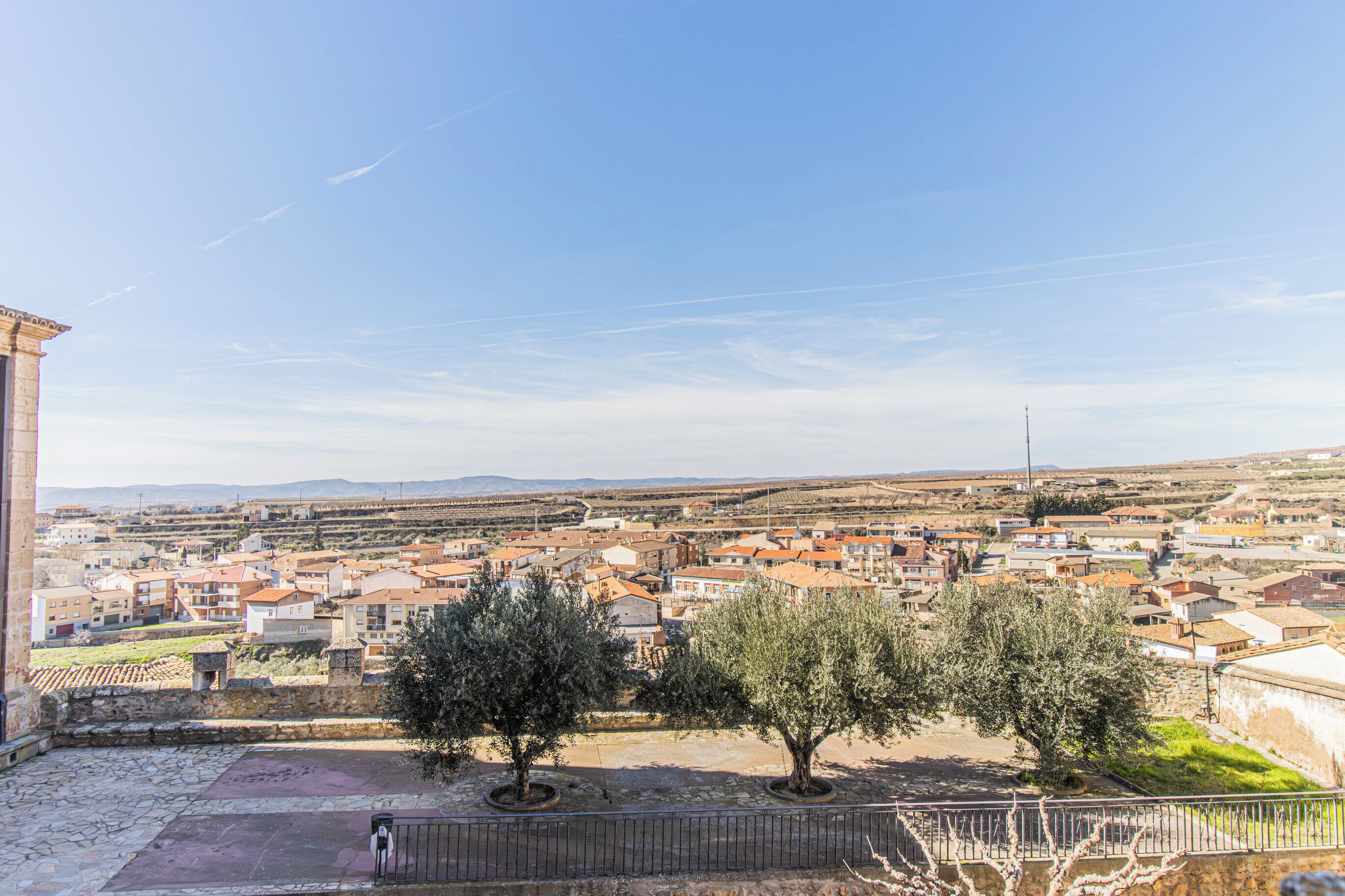 A town with historic buildings, a stone wall, and two olive trees.