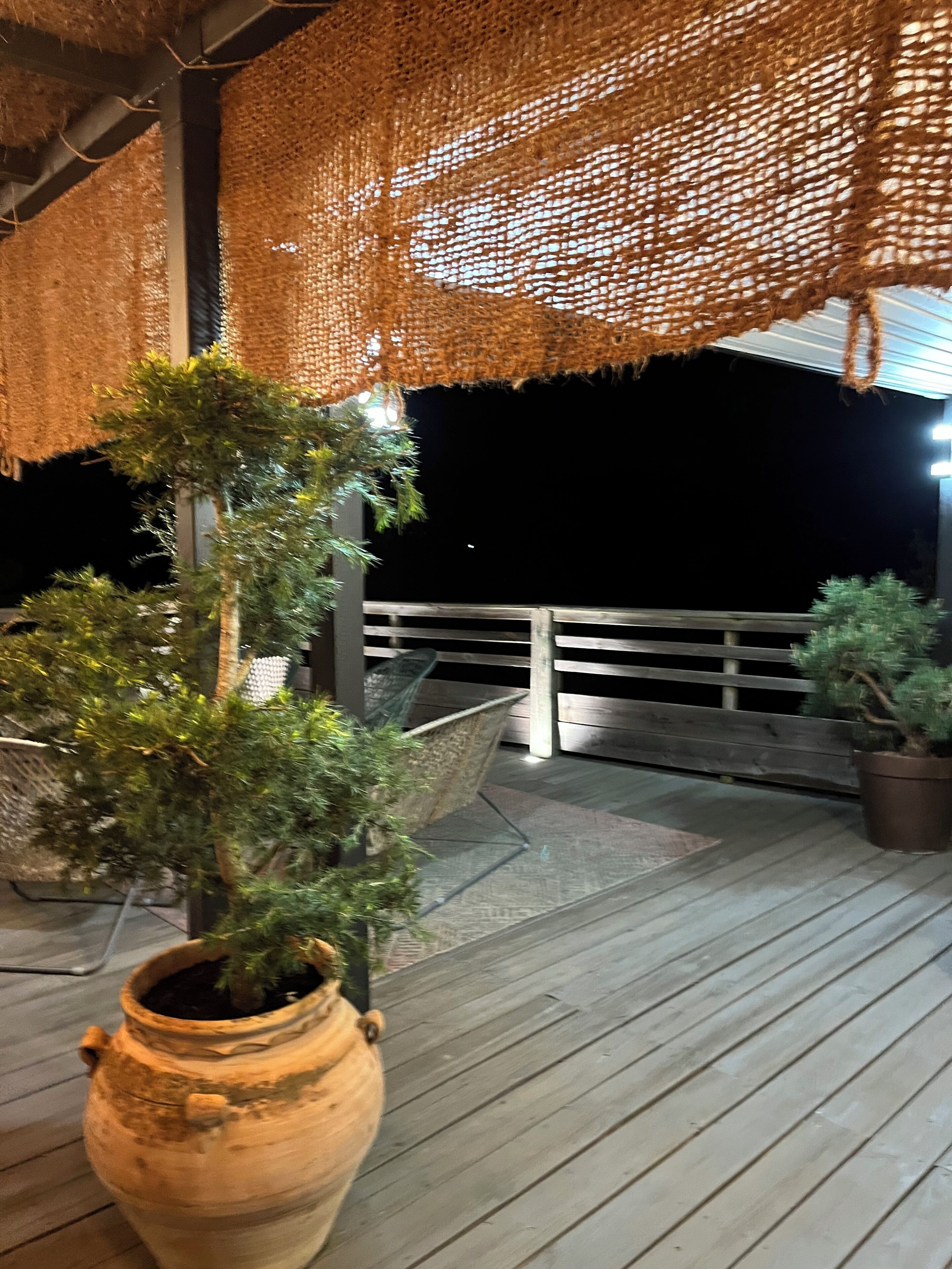 Una terraza de madera con techo de paja, plantas en macetas y barandilla.
