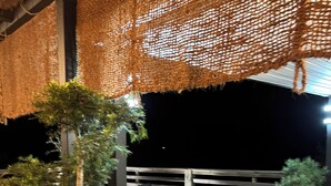Eine Holzterrasse mit einem Reetdach, Topfpflanzen und einer Brüstung.