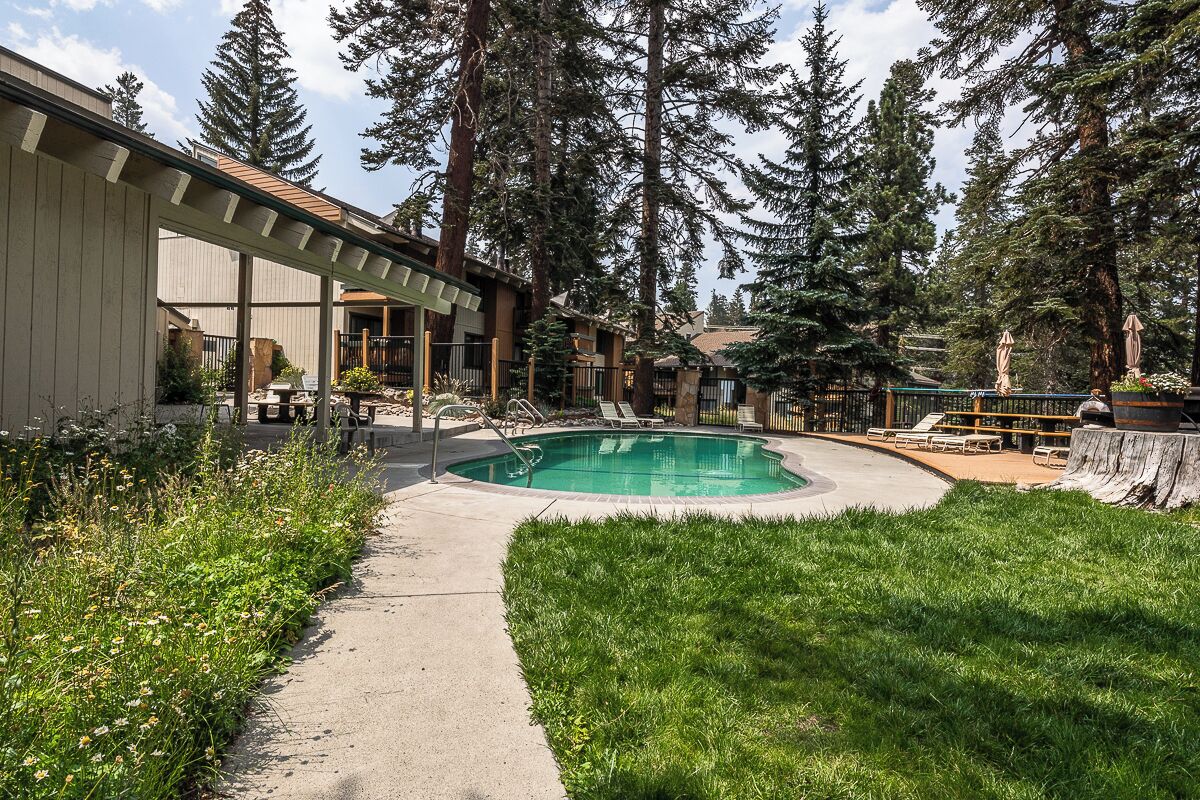 Ein Garten mit Pool, umgeben von hohen Bäumen und einer überdachten Terrasse.