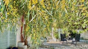 Un patio empedrado con mobiliario exterior, un árbol con flores amarillas y una pared con contraventanas.