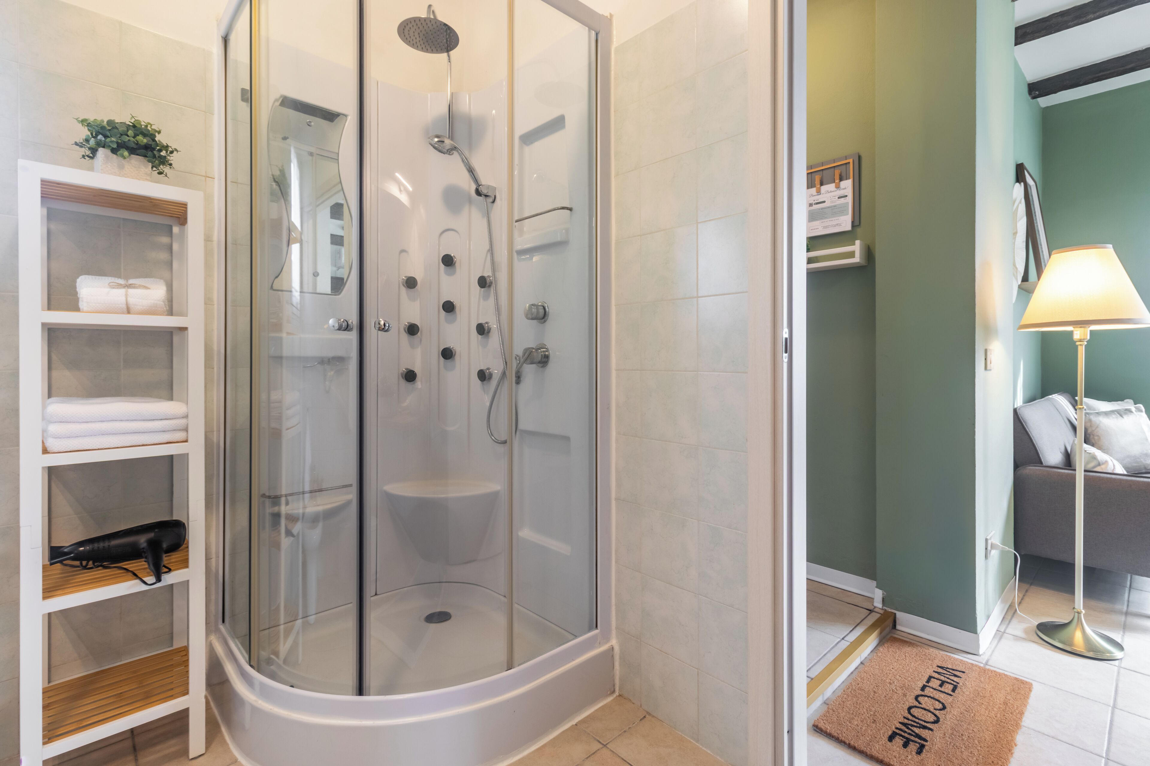 Shower, hair dryer, bidet, towels