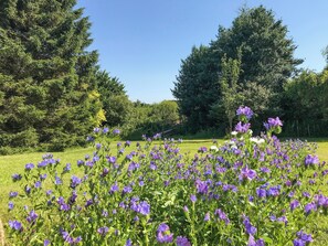 Property grounds - Shepherds Belle & Croft Hut - QU7633 (Messing)
