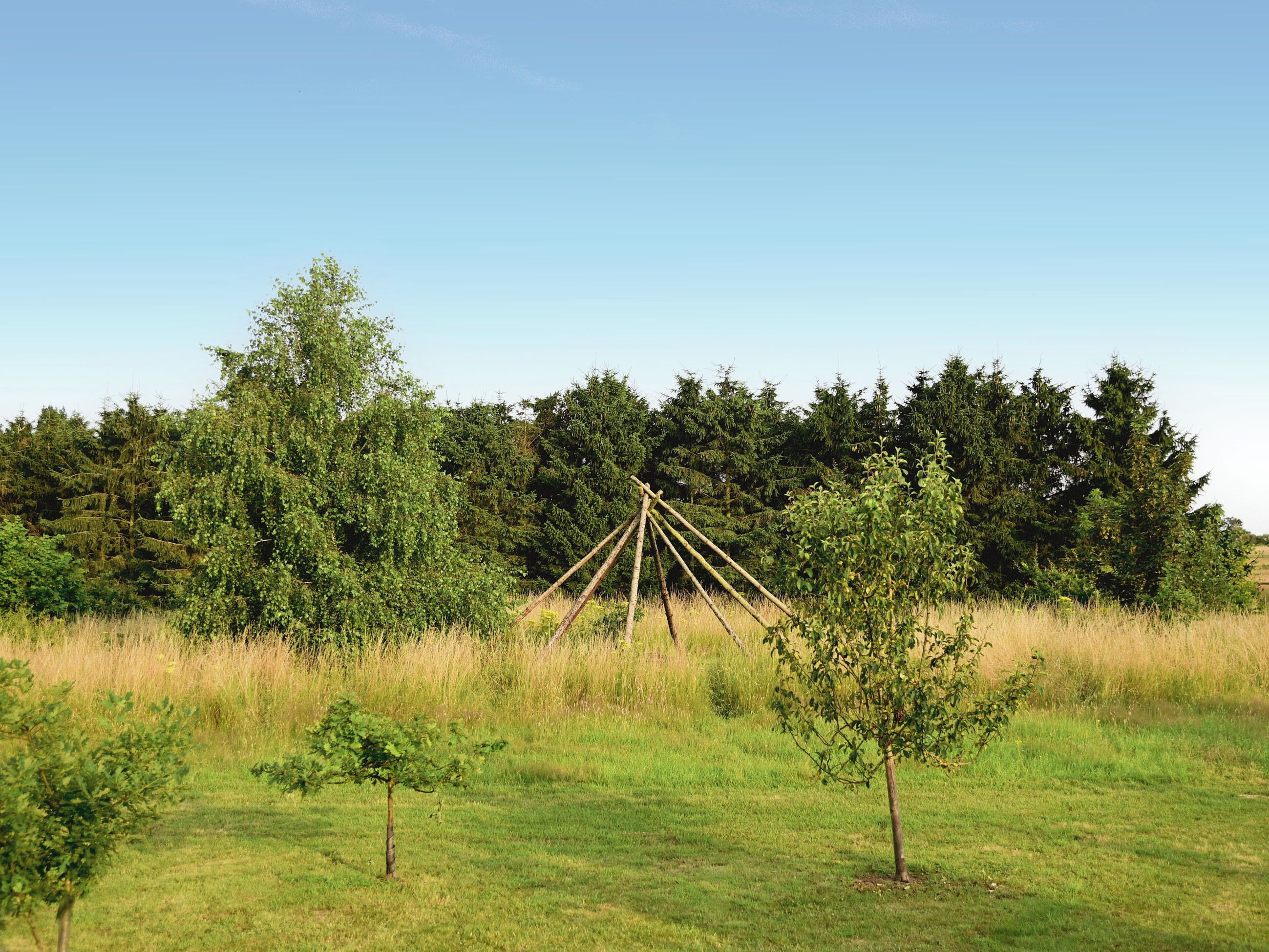 A field with a wooden structure in the center, surrounded by trees and grass.