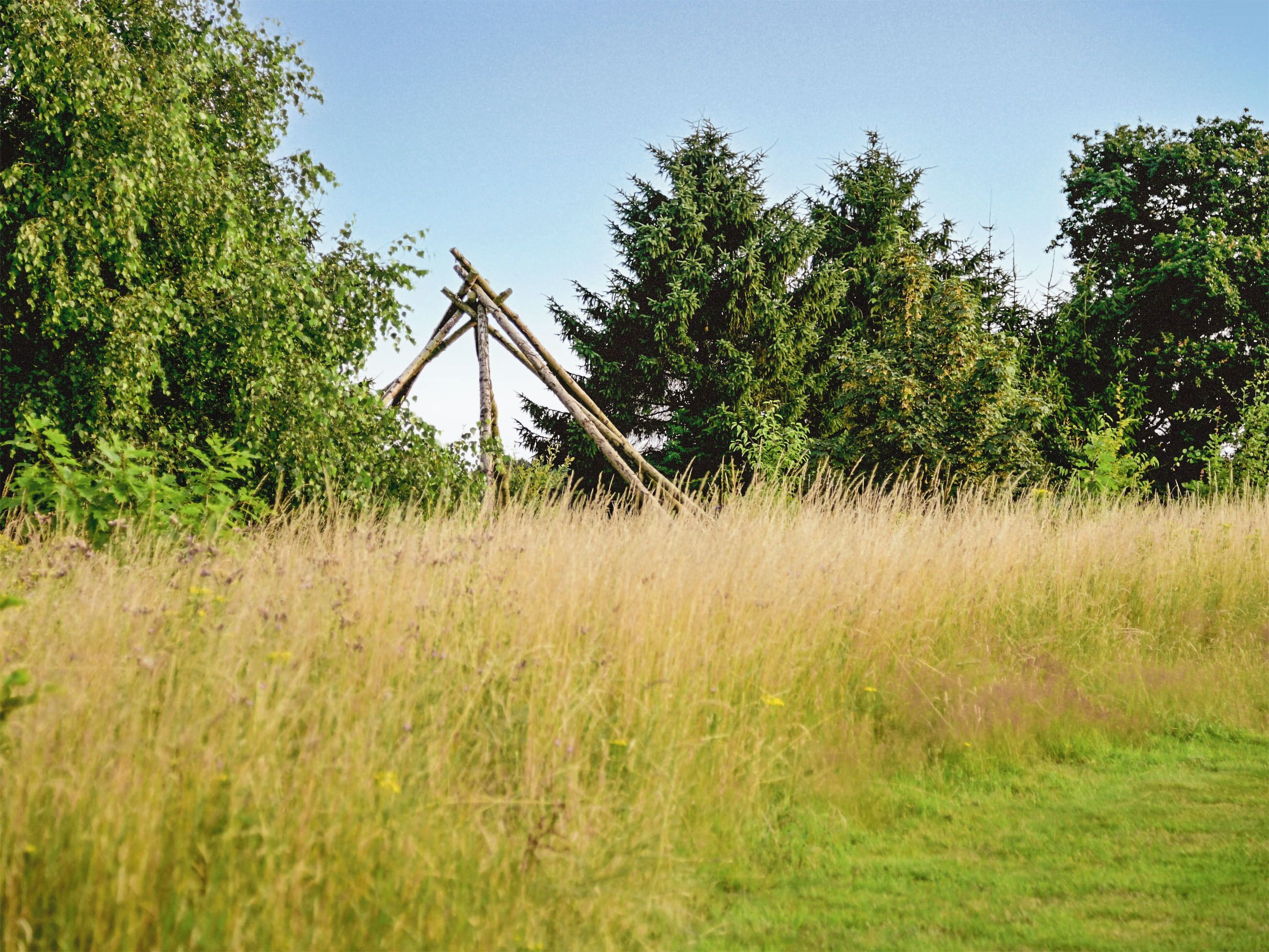Ein grünes Feld mit einer Holzhütte, möglicherweise ein Kiosk, umgeben von dichten Bäumen.
