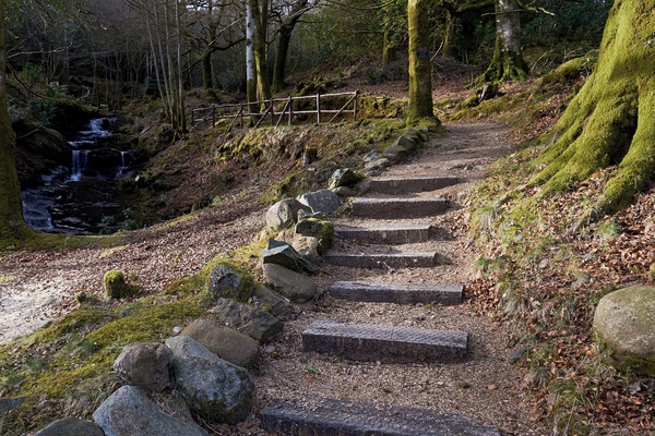Enjoy walking through the woodlands | Home Farm, Glendaruel