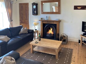 TV, fireplace - 2 bedroom accommodation in Lower Largo (Lower Largo)