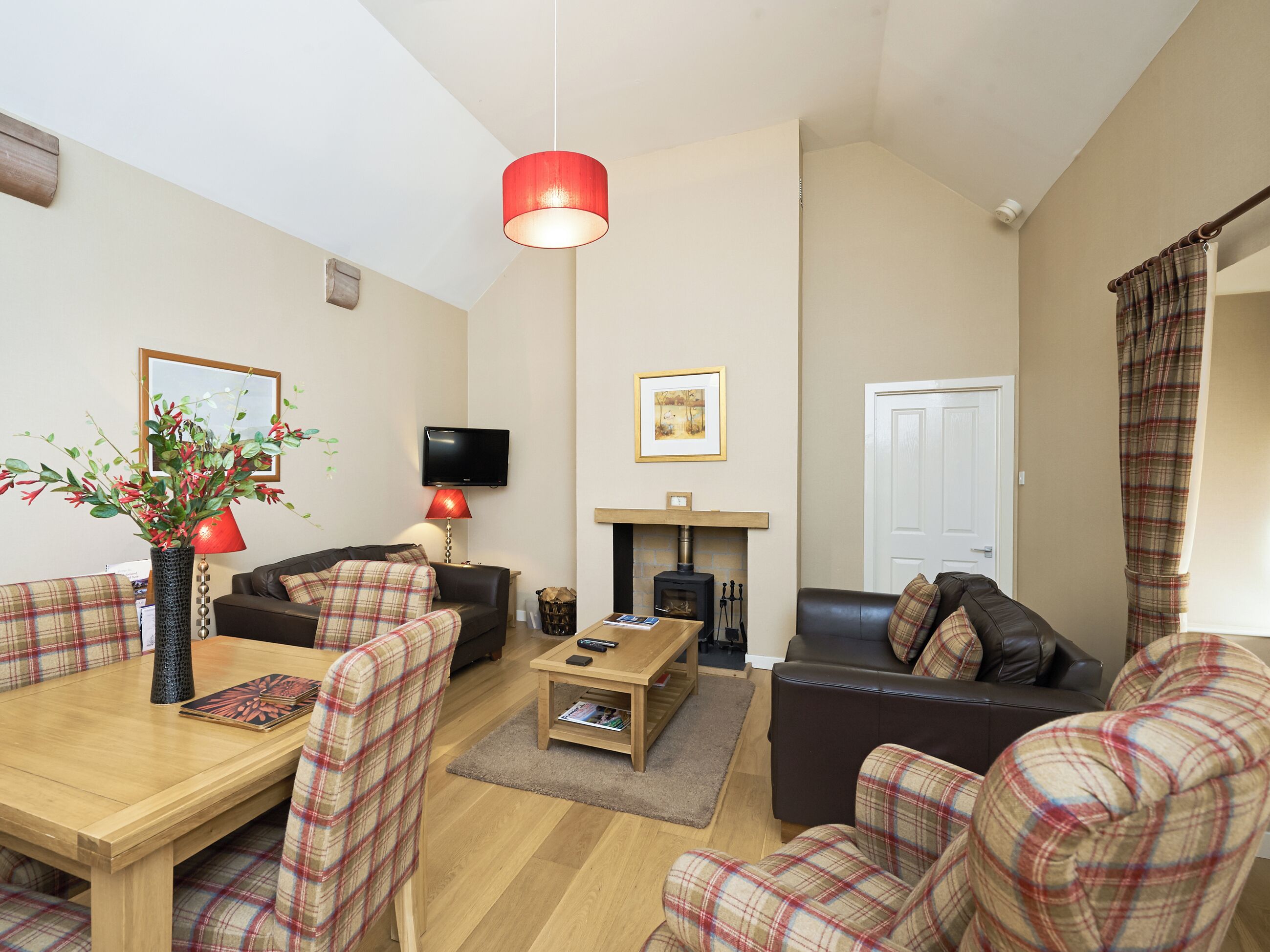 TV, fireplace