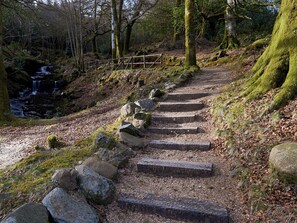 A stone staircase leading up a forested hill with a small waterfall in the background. - Highland Cottage - SXXK (Glendaruel)