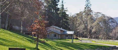 Property grounds