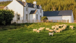 Une maison blanche avec de nombreuses cheminées, une cour clôturée et un troupeau de moutons qui paissent.