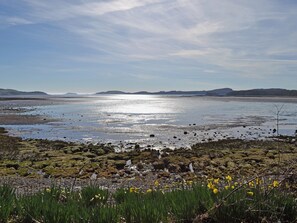Eine Küstenlandschaft mit Strand, felsigem Gelände und gelben Blüten im Vordergrund.