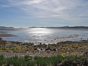 Un paisaje costero con playa, terreno rocoso y flores amarillas en primer plano.