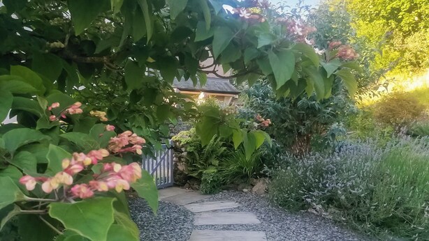 A garden pathway leading to a building with a stone facade. - 3 bedroom accommodation in Ambleside (Ambleside)