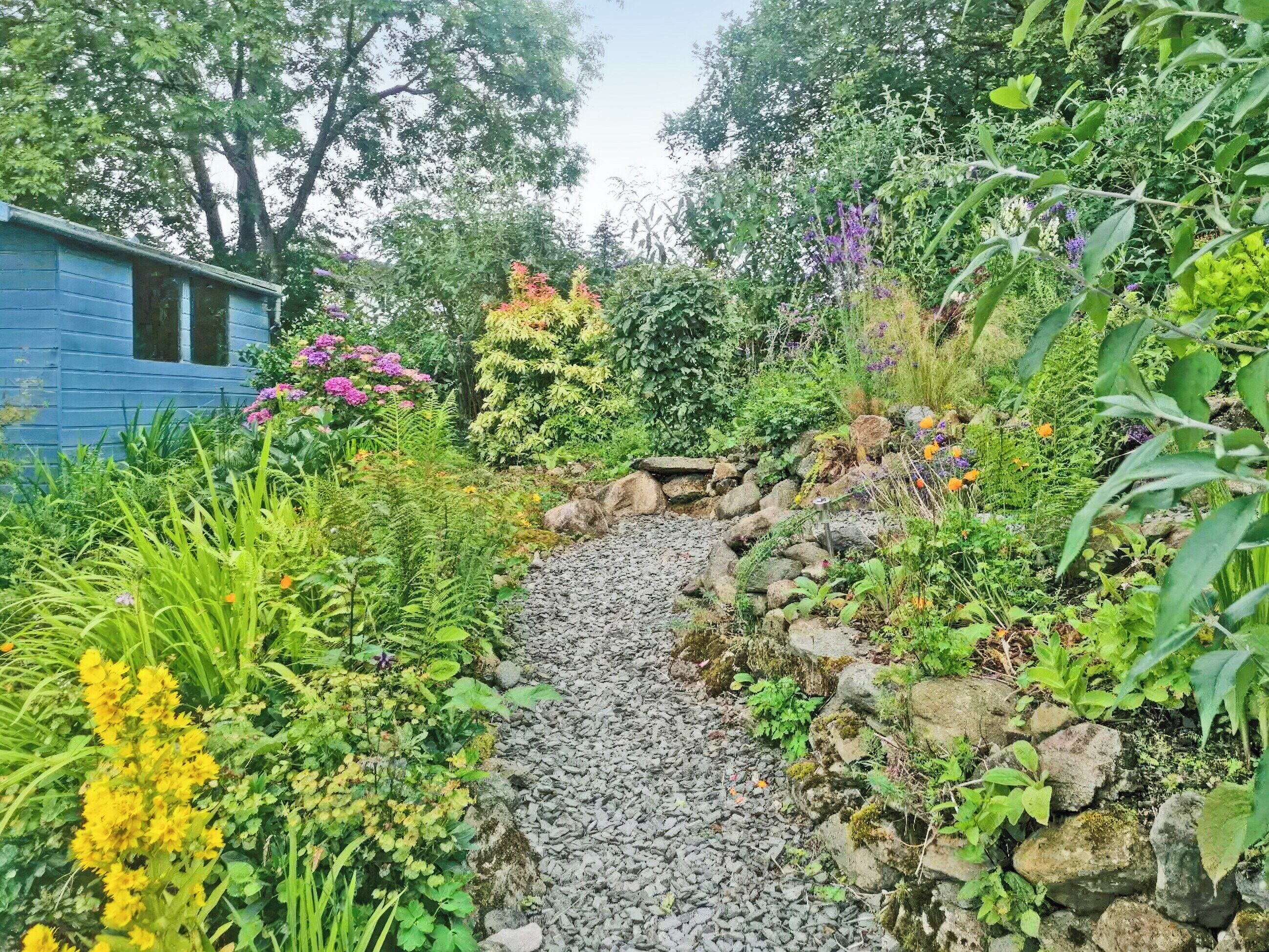 A garden pathway leading to a blue building surrounded by various plants and flowers.