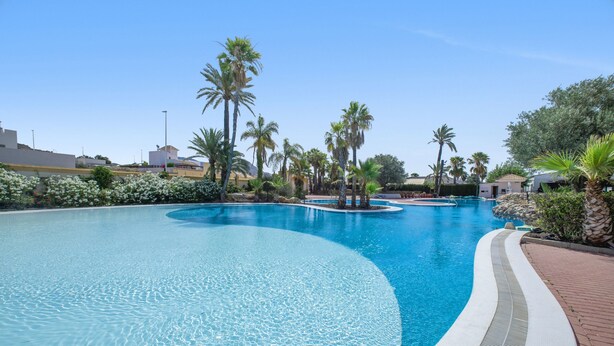 Ein großer, gewölbter Swimmingpool mit klarem, blauem Wasser, umgeben von Palmen und einem Pflasterweg.
