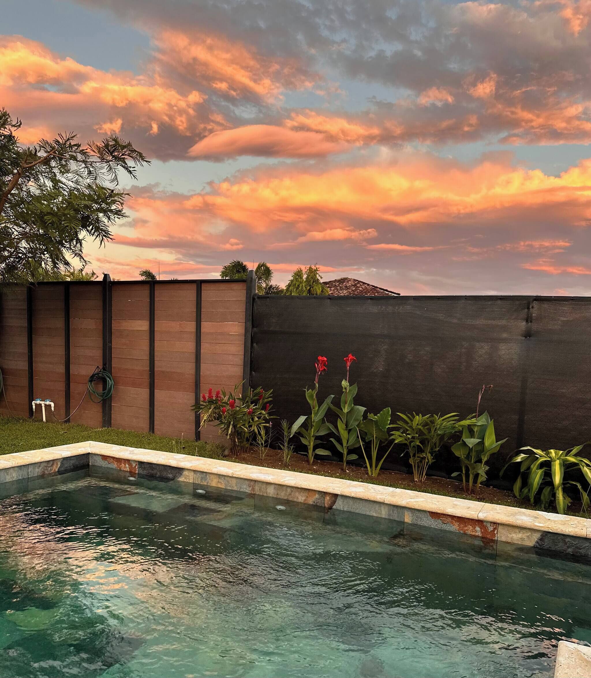 A swimming pool with a wooden fence, clear water, and a sunset sky.