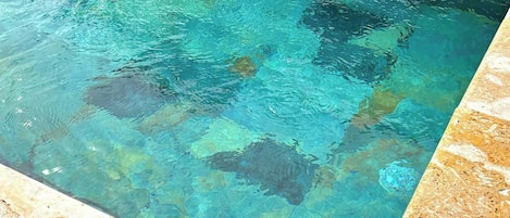 House, 2 Bedrooms, Accessible, Private Pool | Pool